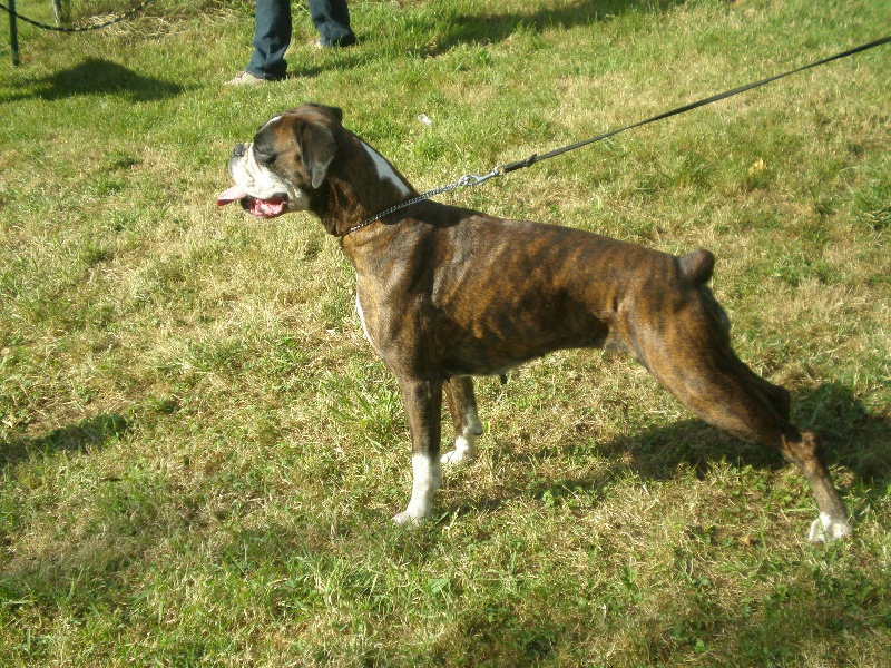 Publication : de Kerweleck