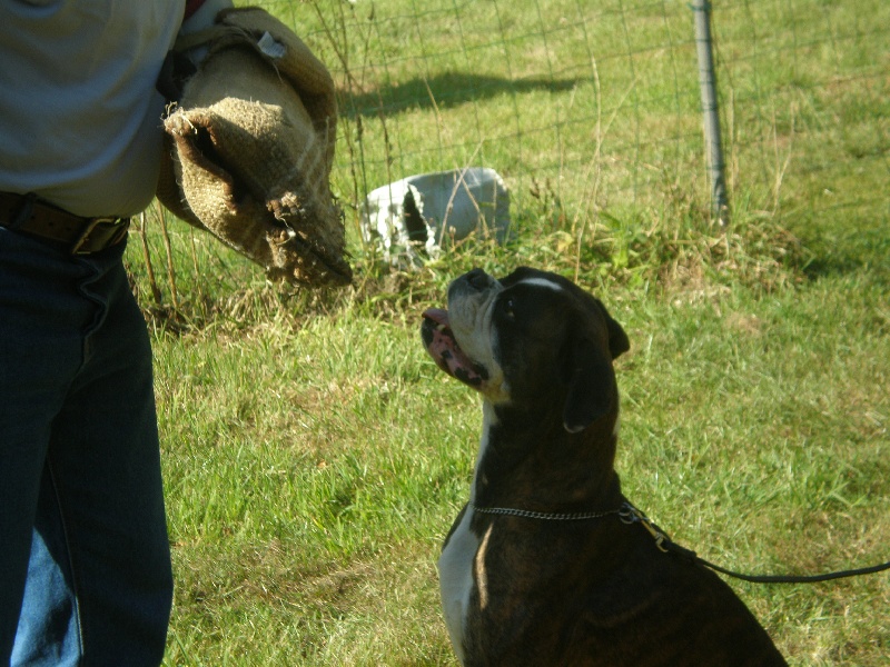 Publication : de Kerweleck