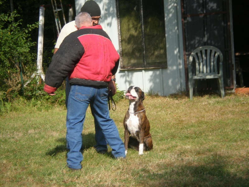 Publication : de Kerweleck