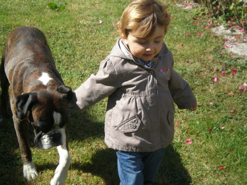 Publication : de Kerweleck