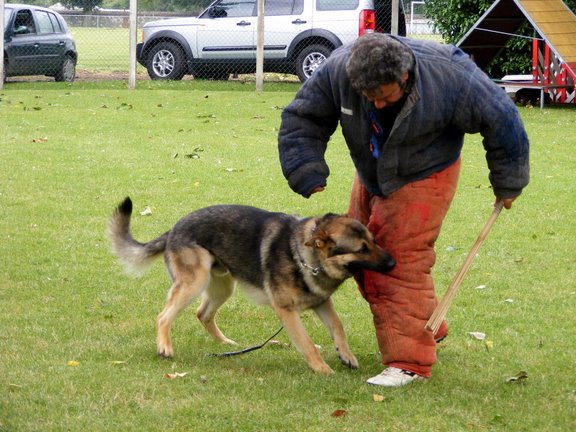 Publication : de la Coquellerie