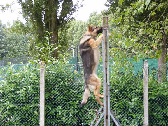 Publication : de la Coquellerie