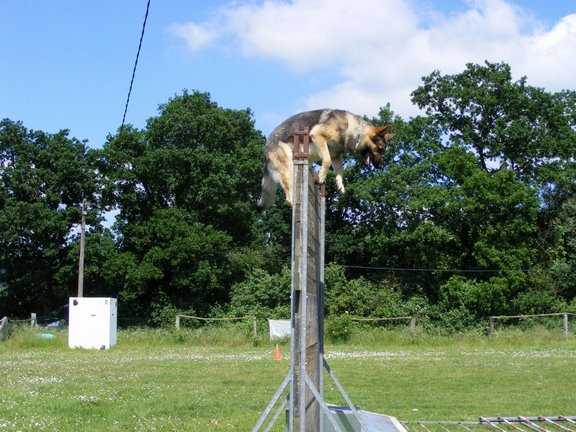 Publication : de la Coquellerie