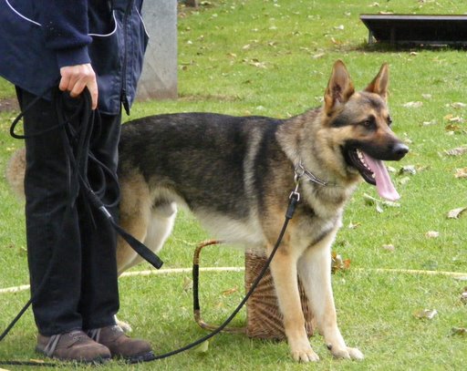 Publication : de la Coquellerie