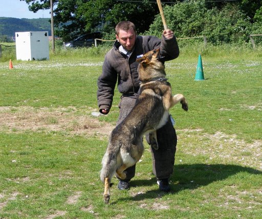 Publication : de la Coquellerie