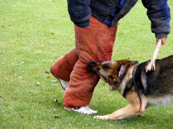 Publication : de la Coquellerie