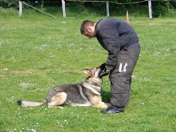 Publication : de la Coquellerie