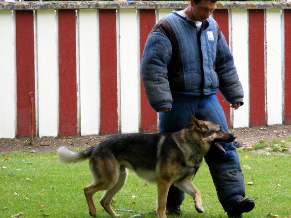 Publication : de la Coquellerie