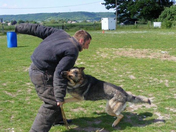 Publication : de la Coquellerie