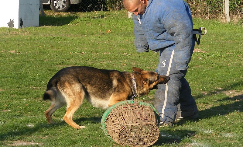 Publication : de la Coquellerie