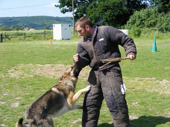 Publication : de la Coquellerie