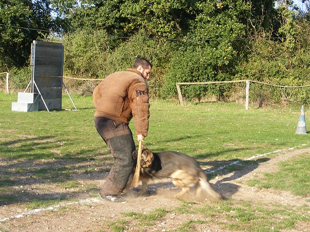 Publication : de la Coquellerie