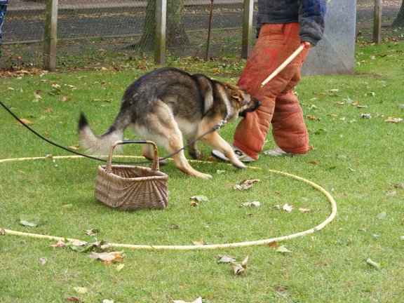 Publication : de la Coquellerie