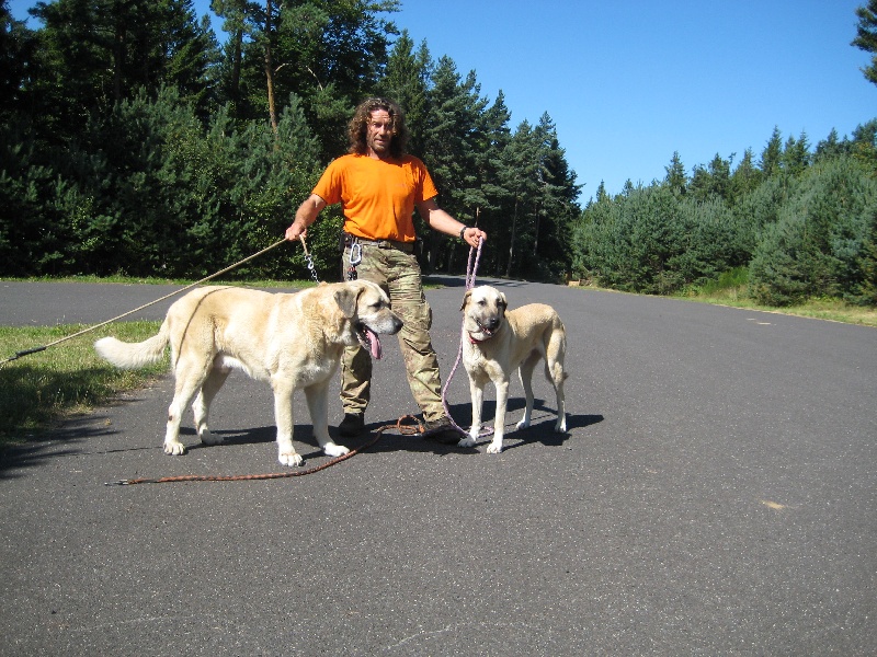 Publication : de la Forêt des Quatre Seigneurs Auteur : gilles CREOLA