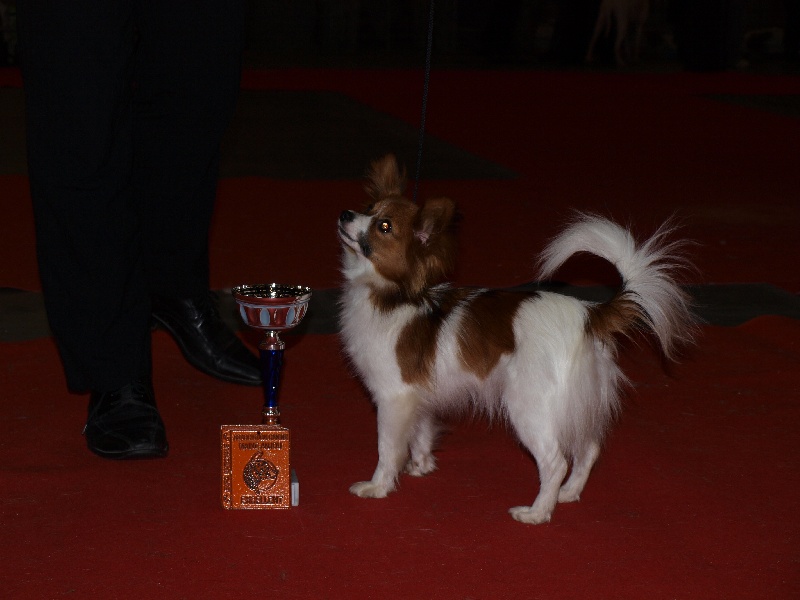 Publication : de la Roche des Oratrix Auteur : Julien et Laurence BAUSSAY