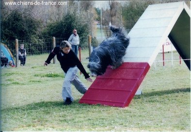 Tequila of Star Moon - 1ère partie de Brevet