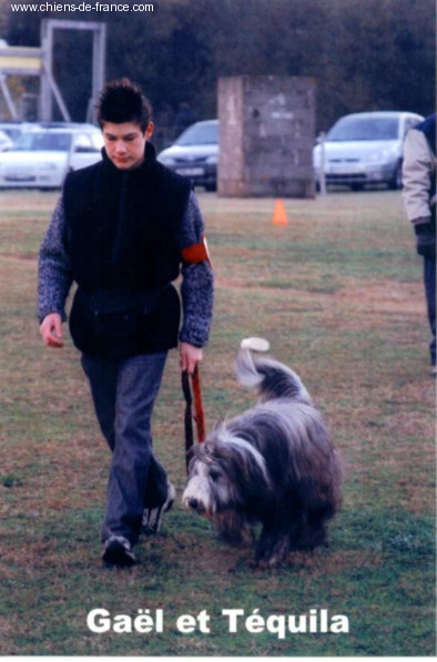Tequila of Star Moon - CSAU (Certificat de Sociabilité et d'Aptitude à l'Utilisation