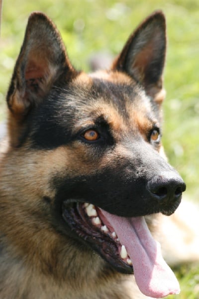 Publication : du Val de Vergy