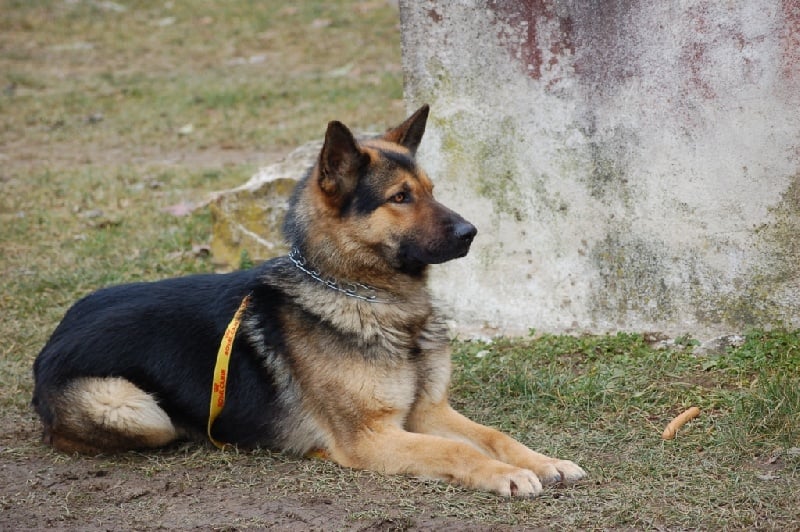 Publication : du Val de Vergy