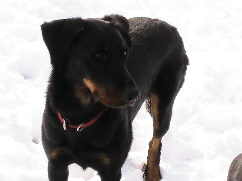 Publication : des Terres de Salomé