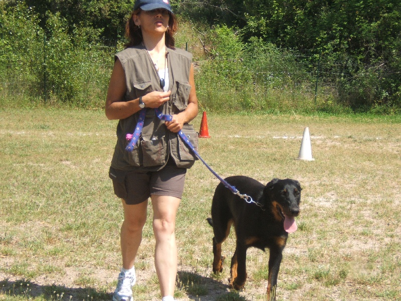 Publication : des Terres de Salomé