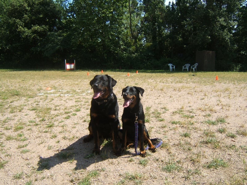 Publication : des Terres de Salomé