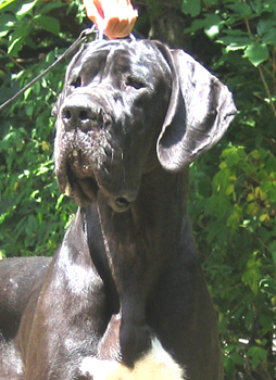 Publication : des Monts de l'Autan