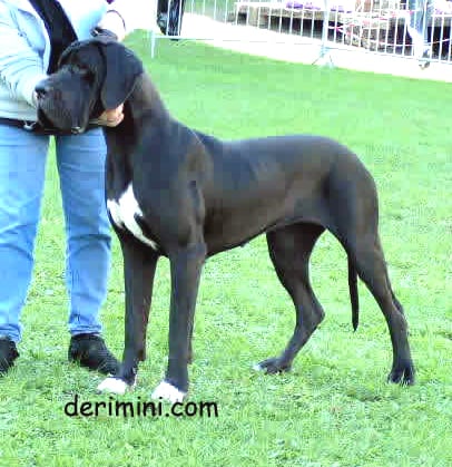 Publication : des Monts de l'Autan