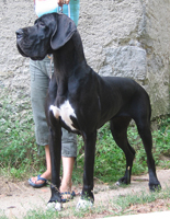 Publication : des Monts de l'Autan