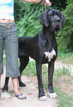 Publication : des Monts de l'Autan