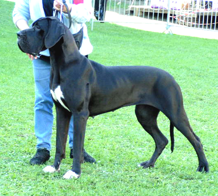 Publication : des Monts de l'Autan