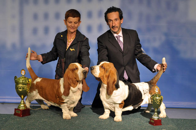 Publication : de la cour d'Anubis Auteur : Isasca-François