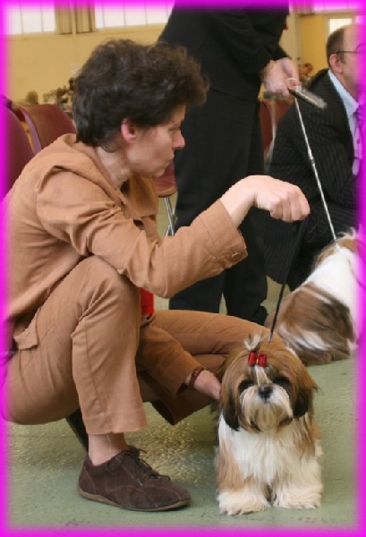 Publication : Suan Shu Sayonara Auteur : Magali Marchandise