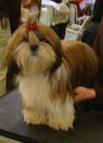 Eikoo hime Suan Shu Sayonara - Prometteur, Cl. Benjamin