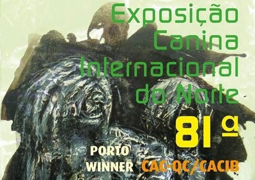 CH. Icaro du dragon rouge de jupiter - 1 er TB cl.Jeune