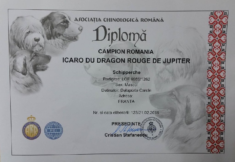 CH. Icaro du dragon rouge de jupiter - 1 er Exc CAC - BOB cl.O