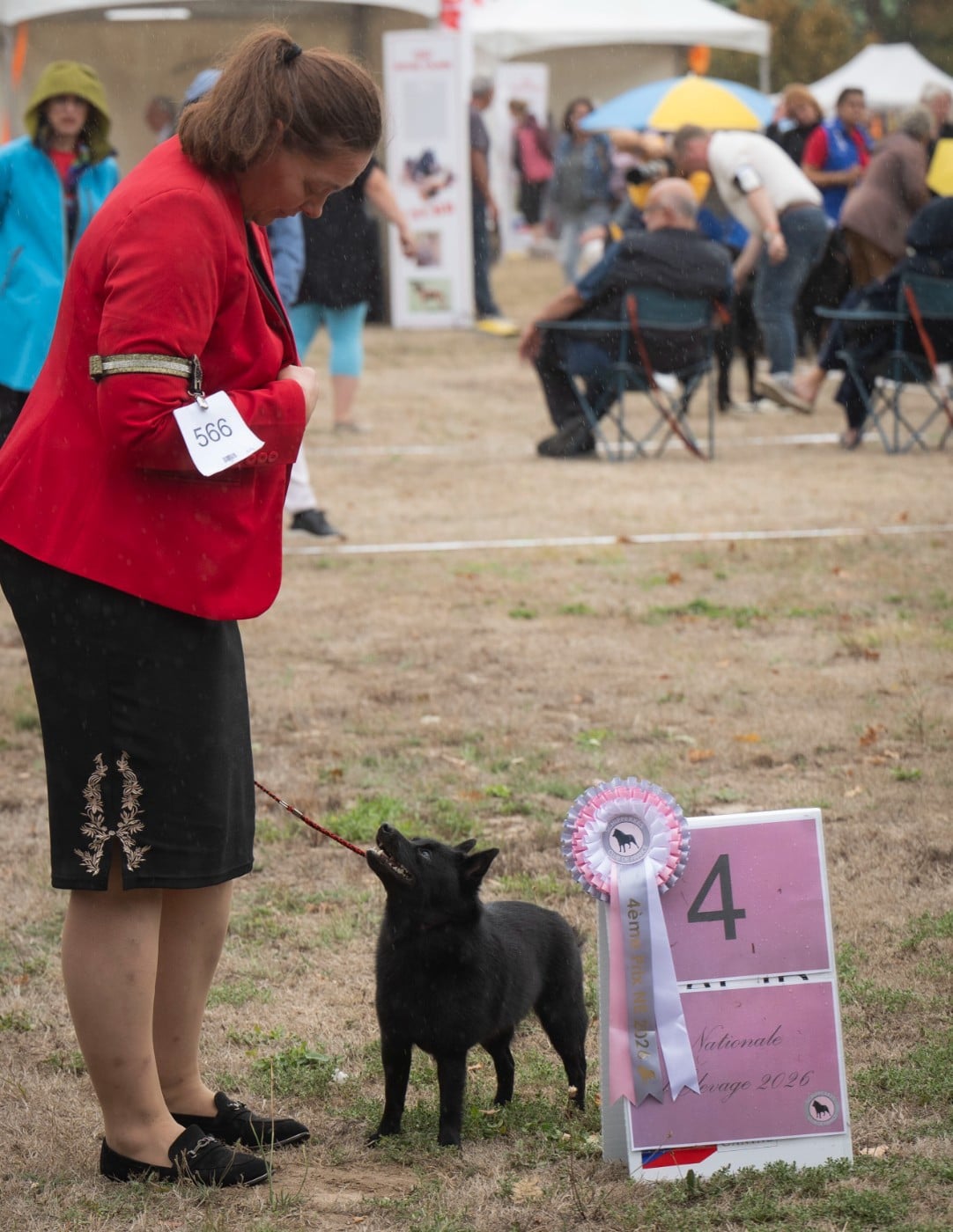 CH. U Are Little Kelly du dragon rouge de jupiter - 4 ème Exc cl. Champion