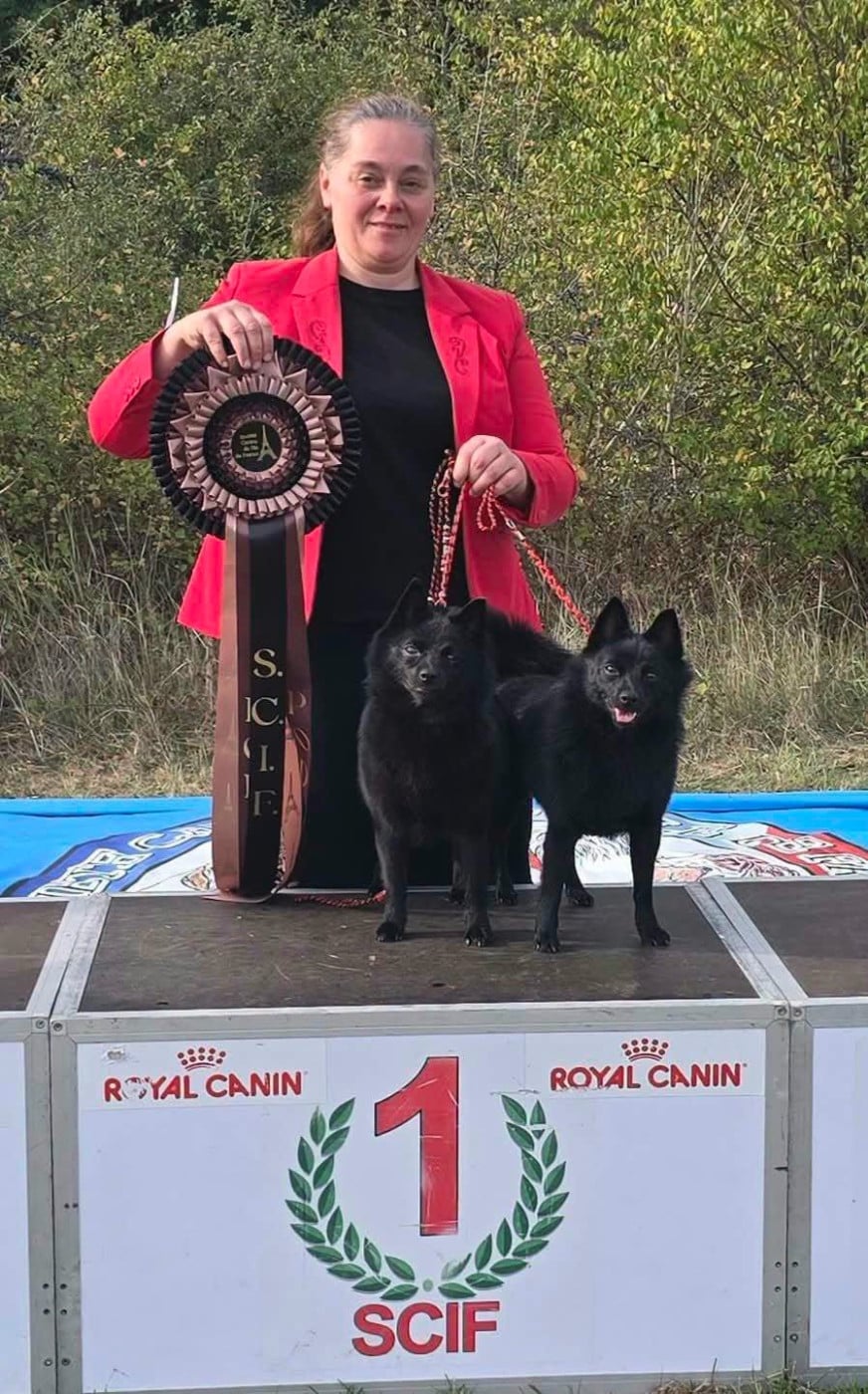 CH. A Little Star Rhéa Ripley du dragon rouge de jupiter - BEST IN SHOW PAIRE