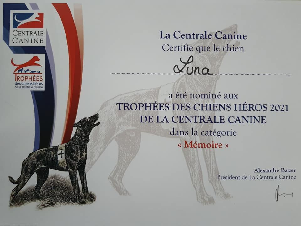 CH. Bea dite luna de la plaines des cheyennes - Nominée aux Trophées des Chiens Héros SCC