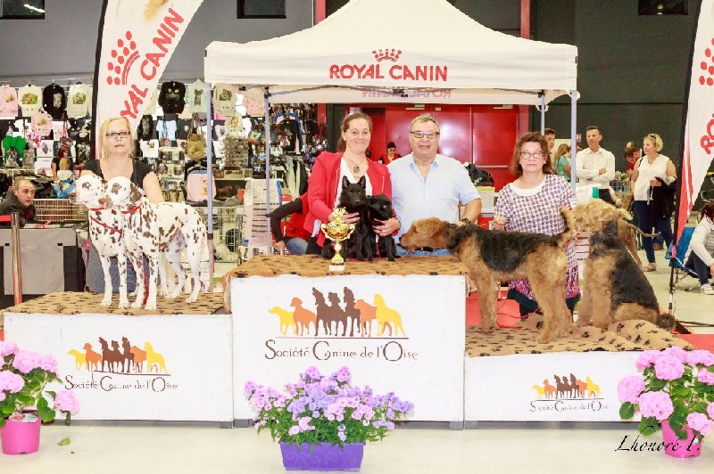 CH. Icaro du dragon rouge de jupiter - MEIILLEUR PAIRE DE L'EXPOSITION