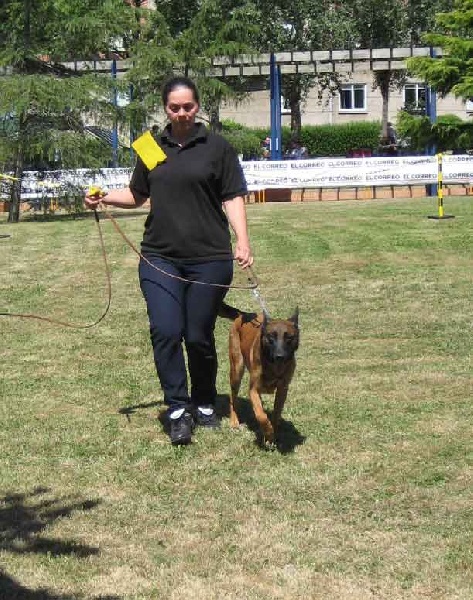 CH. Bea dite luna de la plaines des cheyennes - 1 er Exc - CACIB