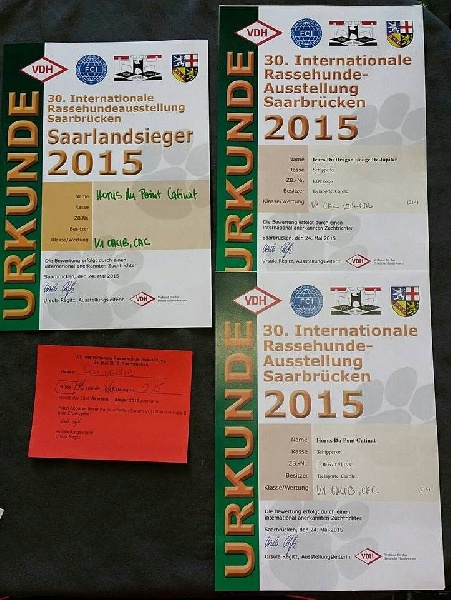 CH. Icaro du dragon rouge de jupiter - 1 er Exc VDH CAC cl.Int