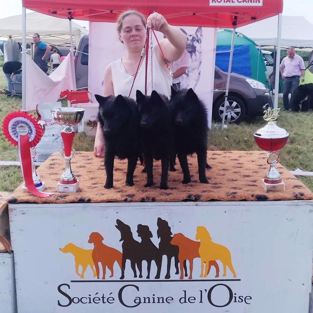 CH. Icaro du dragon rouge de jupiter - 2 ème Exc cl Ch