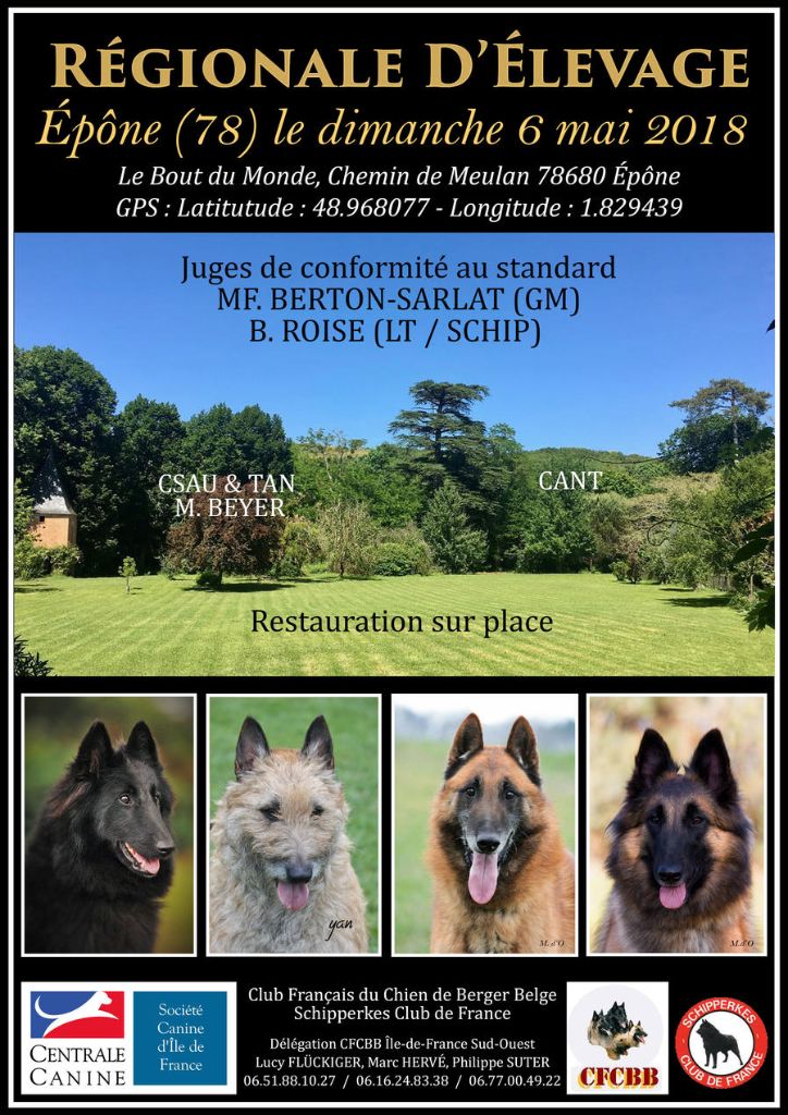 CH. splendid three color Zeus - 1 er TP cl.Puppy