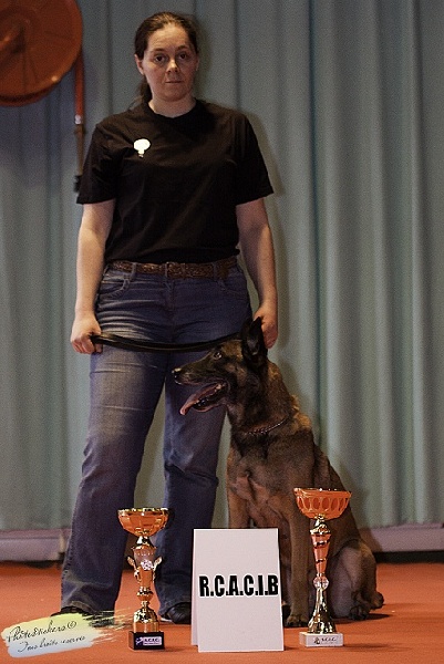 CH. Bea dite luna de la plaines des cheyennes - 1 er Exc RCACIB cl.CH