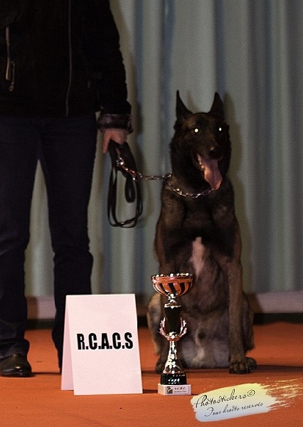 Dacoït du dragon rouge de jupiter - 2 è Exc RCAC cl.O