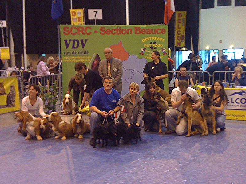 CH. Bea dite luna de la plaines des cheyennes - 2 è MEILLEUR GROUPE DE REPRODUCTION