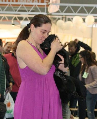 CH. Icaro du dragon rouge de jupiter - 2 è Exc RCACJ cl.J