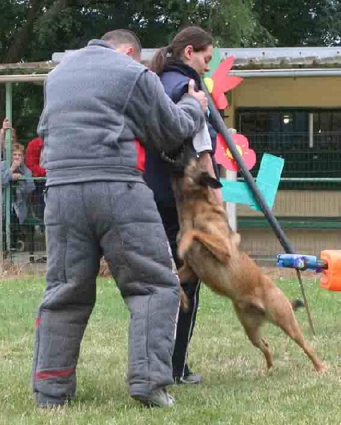 CH. Bea dite luna de la plaines des cheyennes - Brevet Mondio 81/100 mention Exc