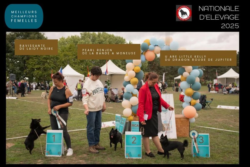 CH. U Are Little Kelly du dragon rouge de jupiter - 3 ème Exc cl.Ch